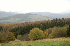Frauenausflug2014-132