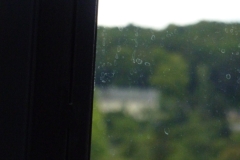 P1050175