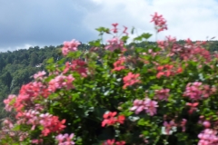 P1050178